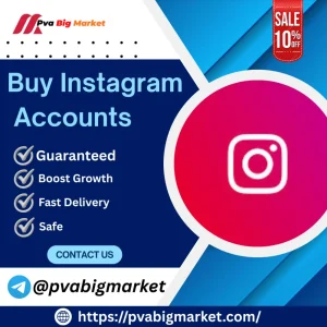 Buy Instagram Accounts with Active Followers
